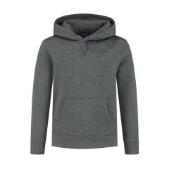 WINDSOR HEATHER/C5964